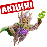 Сила микоризы для урожая
